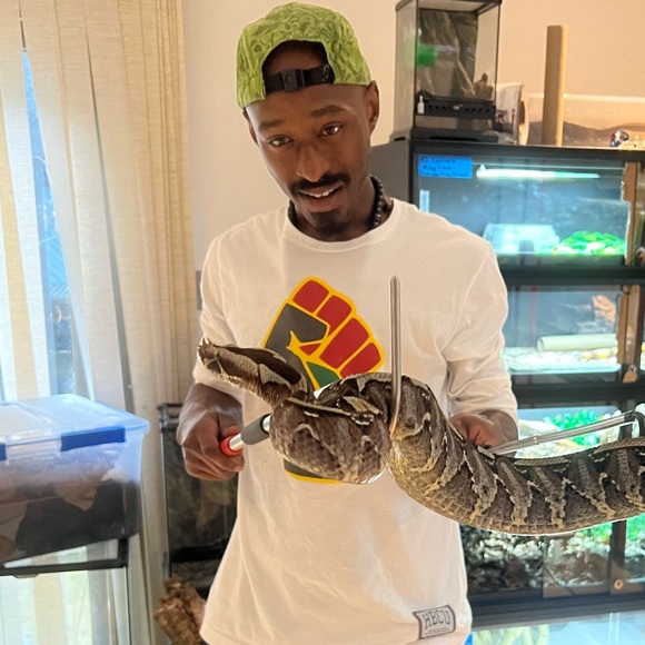 Meet your Posher, Jahlani - Picture 2 of 2